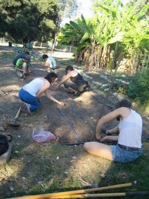 students planting at the farm